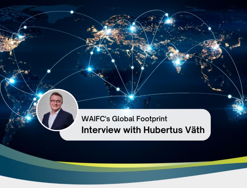 Frankfurt Main Finance (FMF)